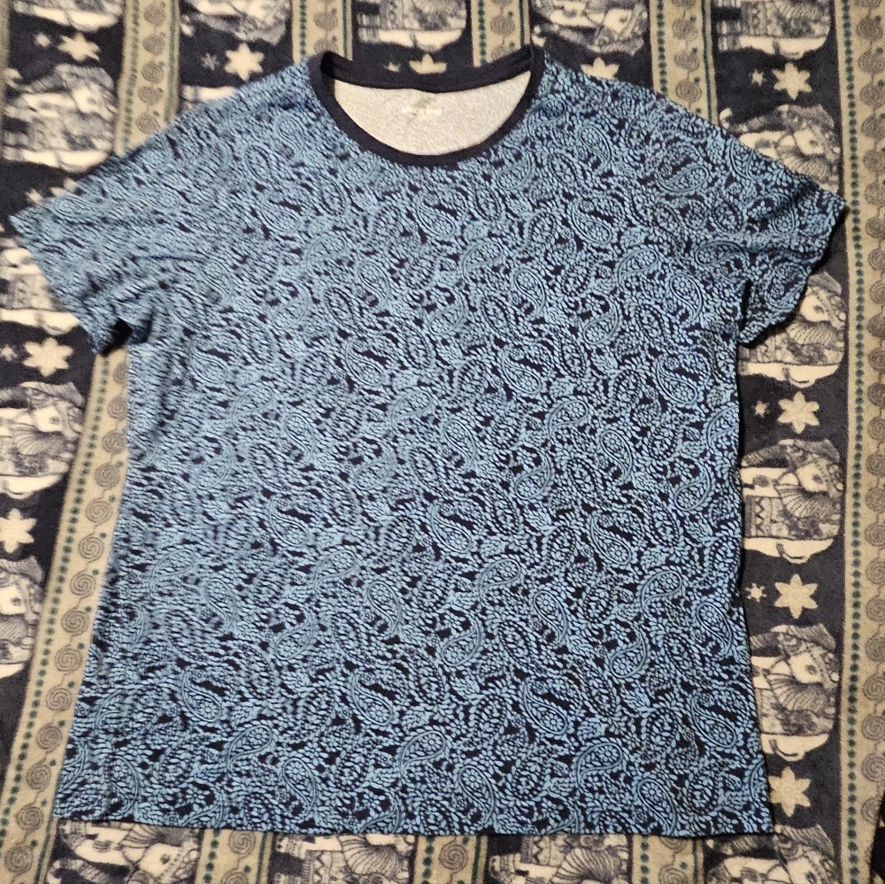 2 large Lands End Blue Women shirts - Picture 4 of 5